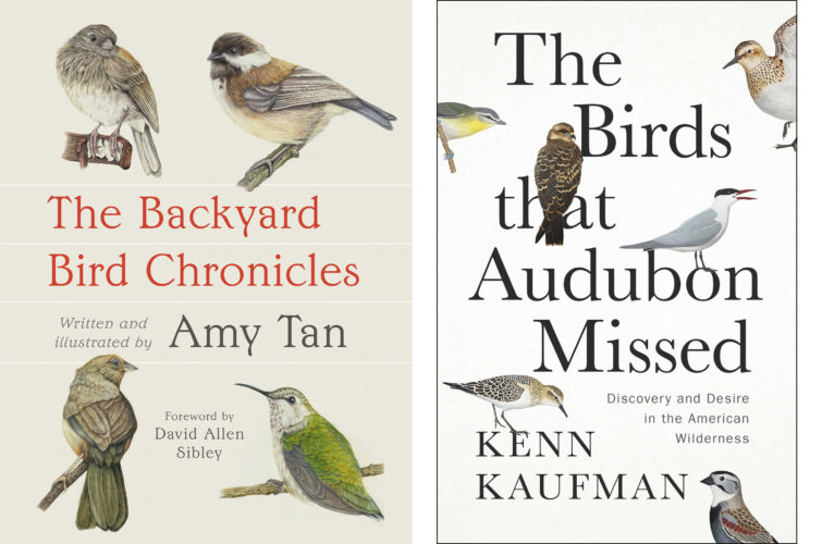 Book Review: Novelist Amy Tan shares love of the natural world in ‘The Backyard Bird Chronicles’